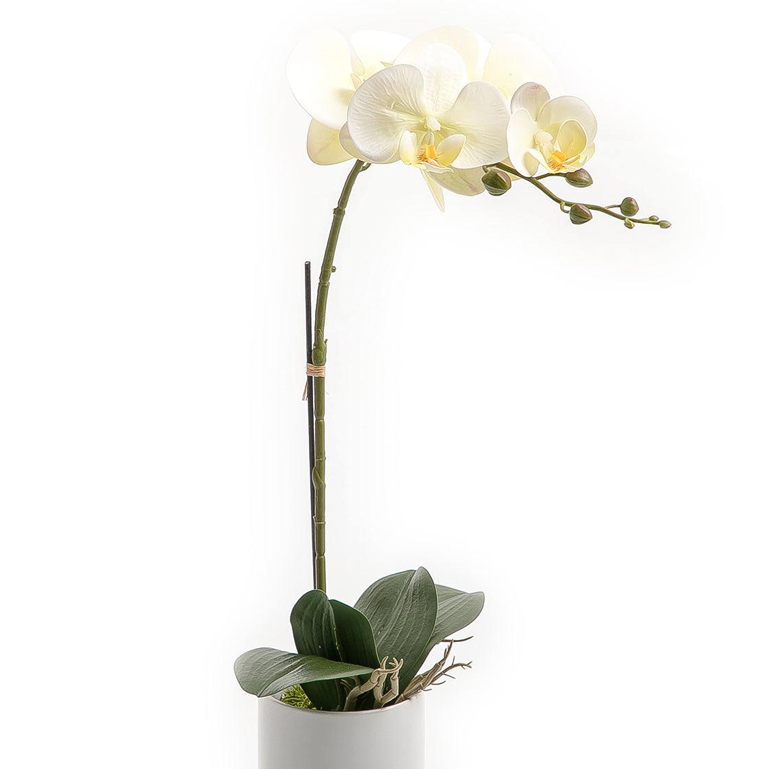 Artificial Orchid