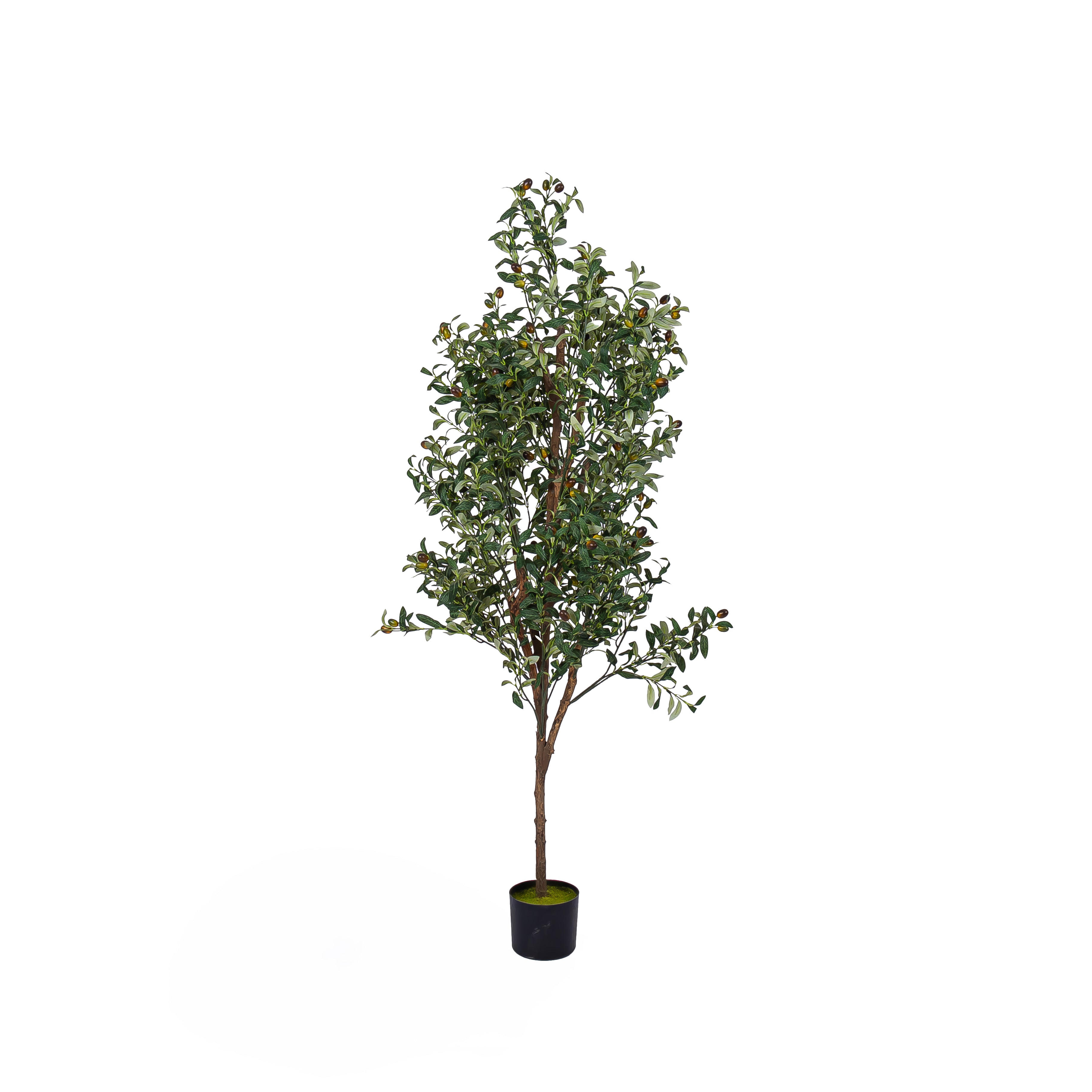 Evergreen Elegance – Artificial Plant