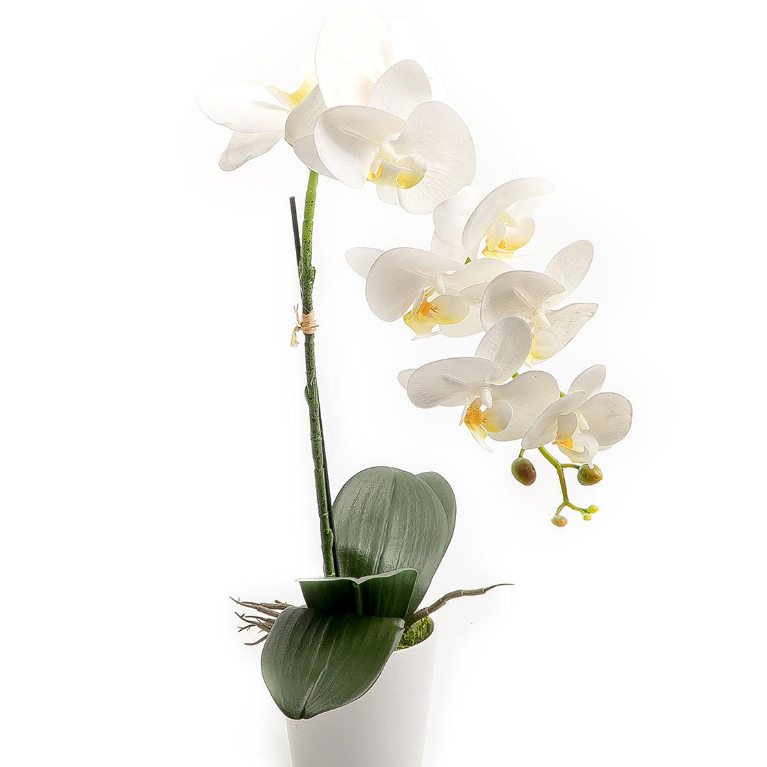 Artificial Orchid