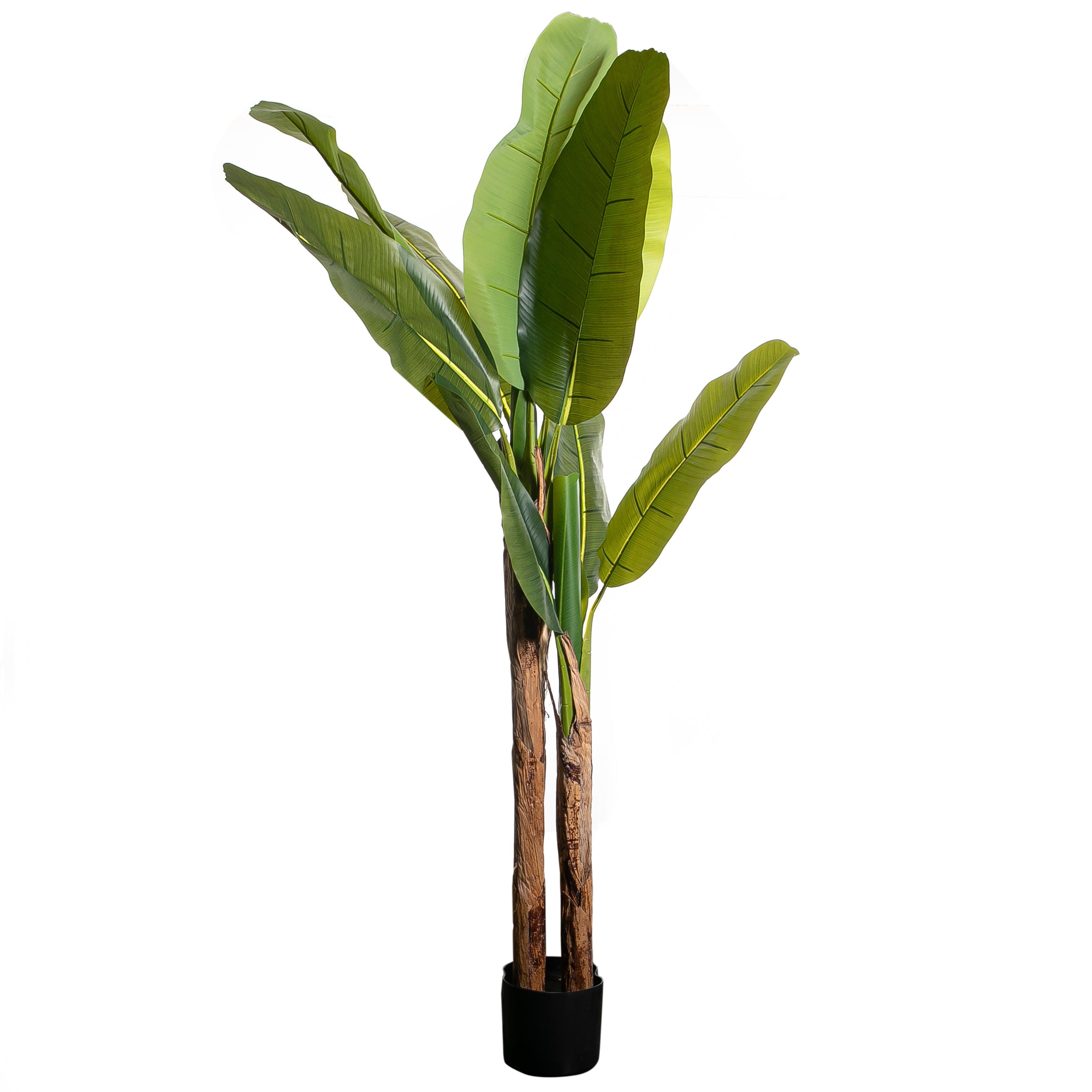 Artificial Plant